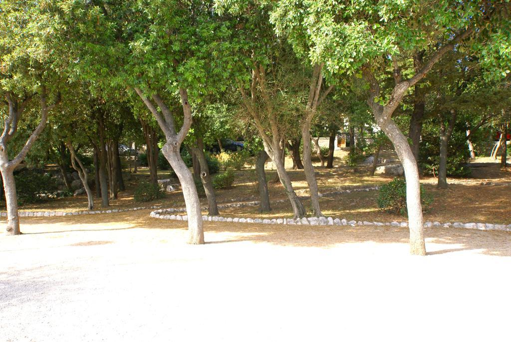 Apartment Buneta